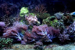 Killikus&reg; Fotographie